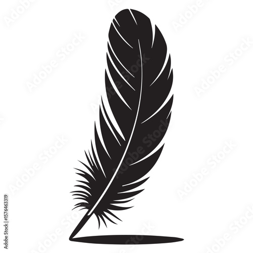 Elegant black feather silhouette with delicate barbs and a soft shadow on a clean white background