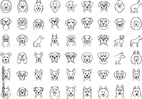 Dog Breeds line icon set. Vector pictograms of labrador, golden retriever, german shepherd, bulldog, beagle, poodle, dachshund, pug, shih tzu, maltese, yorkshire terrier thin linear illustration