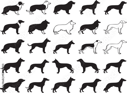 Dog Breeds line icon set. Vector pictograms of labrador, golden retriever, german shepherd, bulldog, beagle, poodle, dachshund, pug, shih tzu, maltese, yorkshire terrier thin linear illustration