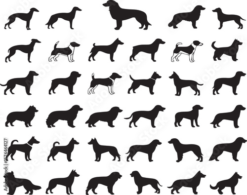 Dog Breeds line icon set. Vector pictograms of labrador, golden retriever, german shepherd, bulldog, beagle, poodle, dachshund, pug, shih tzu, maltese, yorkshire terrier thin linear illustration