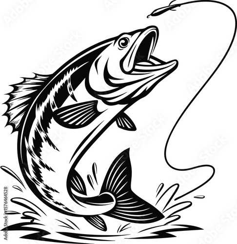 Dynamic black and white illustration of a largemouth bass leaping out of the water to catch a fishing lure isolated on transparent background