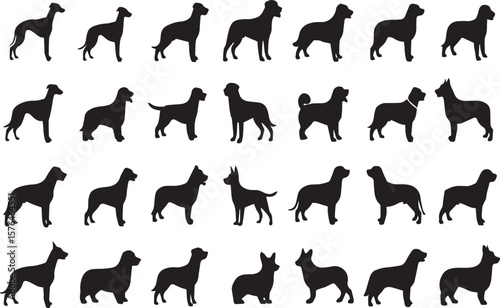 Dog Breeds line icon set. Vector pictograms of labrador, golden retriever, german shepherd, bulldog, beagle, poodle, dachshund, pug, shih tzu, maltese, yorkshire terrier thin linear illustration