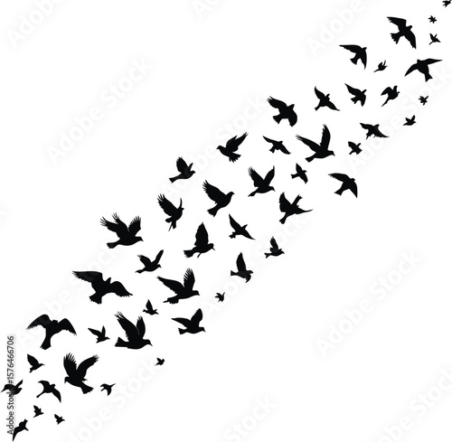A diagonal flock of black birds in flight against a stark white background creating a sense of movement