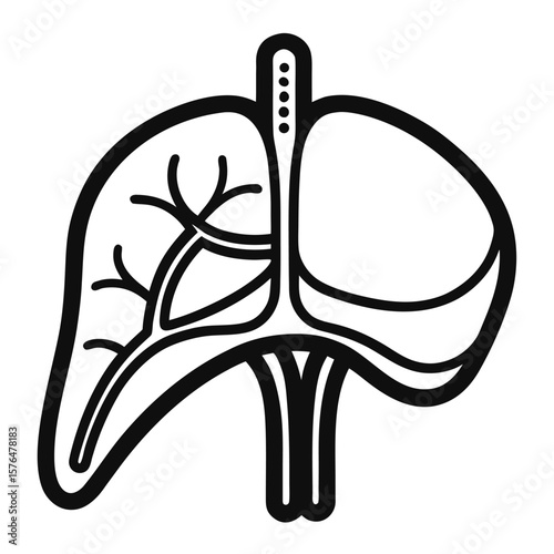 Stylized black and white outline illustration of human lungs and diaphragm
