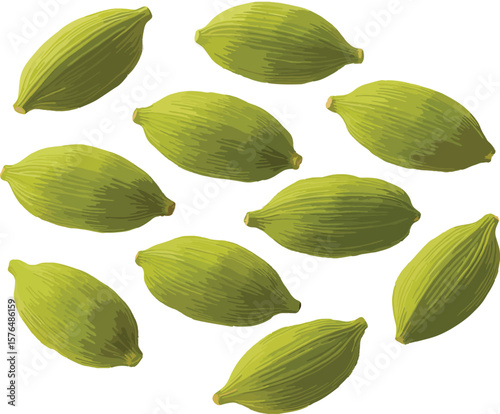 green leaves on white background