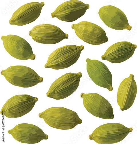 laurel leaves isolated on white