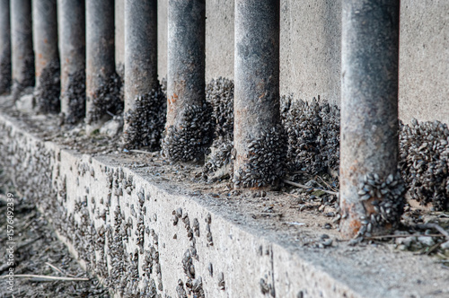 old wooden fence on the beach