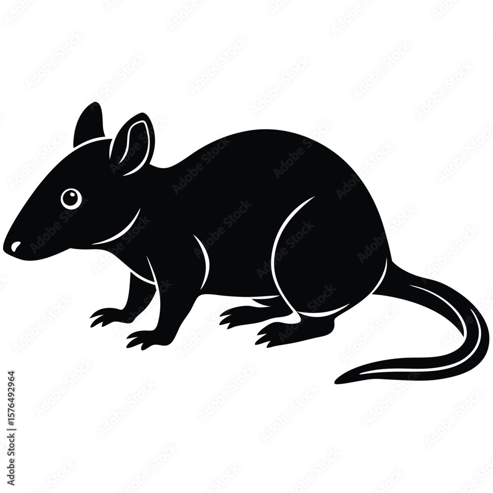 Obraz premium Black bandicoot vector illustration marsupial mammal