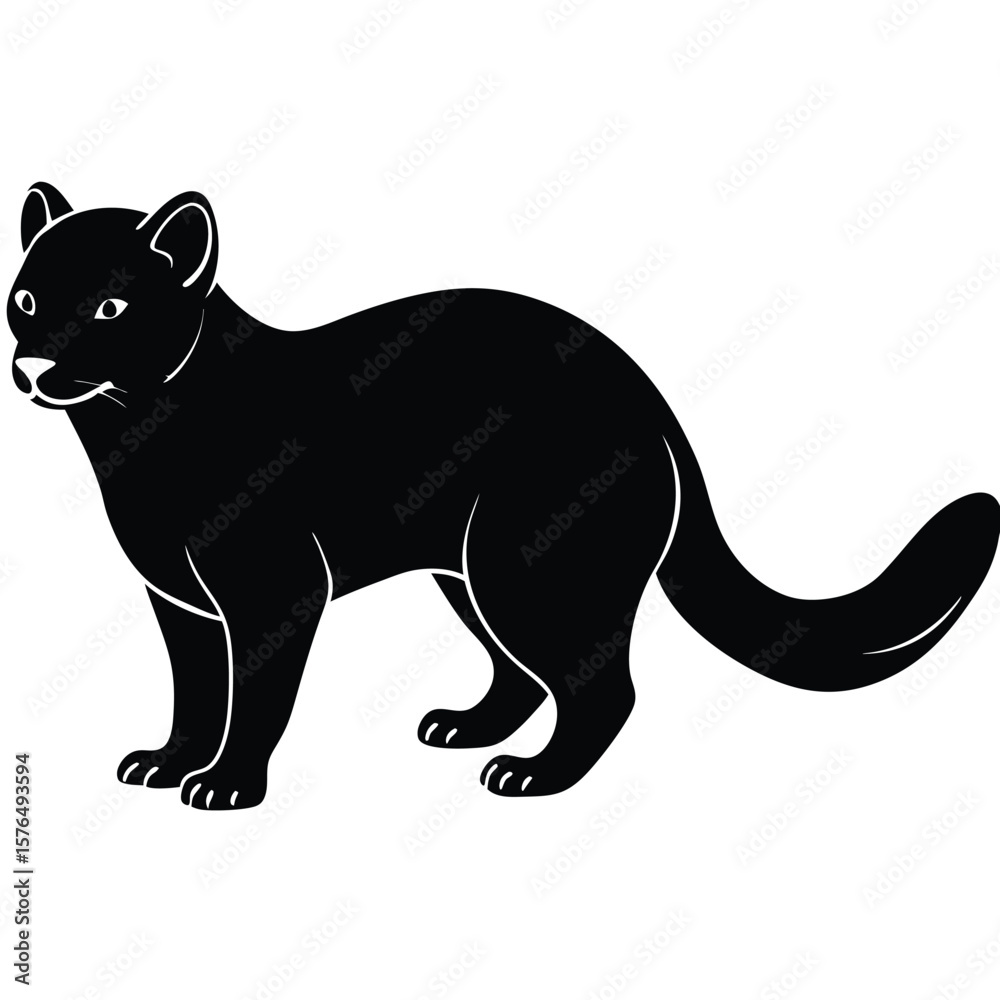 Fototapeta premium Black Fossa Silhouette Standing Alertly animal white
