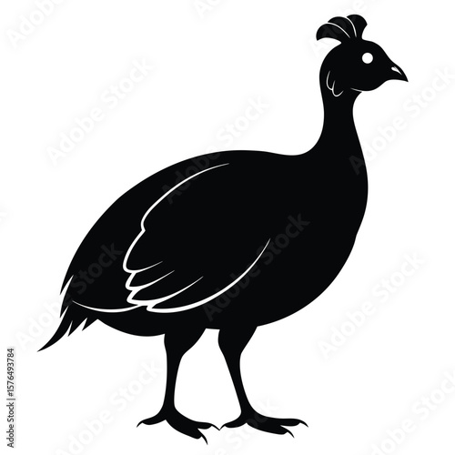 Black guinea fowl silhouette with crested head and detailed wings bird white