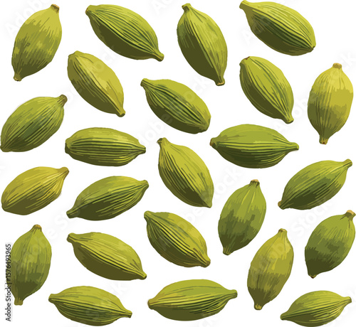 green leaves isolated on white