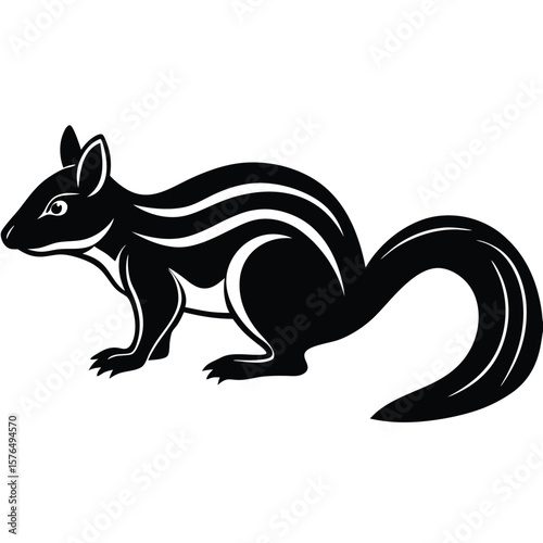 Black numbat animal illustration marsupial wildlife