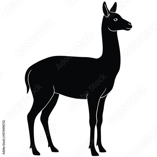 Black silhouette of a vicuña standing animal mammal