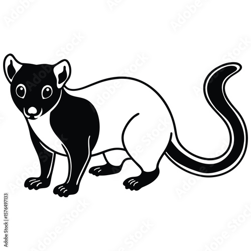Black vector silhouette of a kinkajou animal white