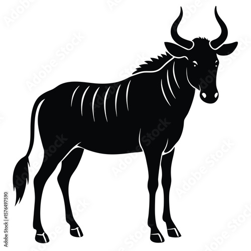 Black wildebeest standing full body animal mammal