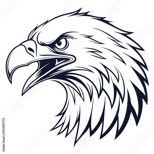 bald eagle head