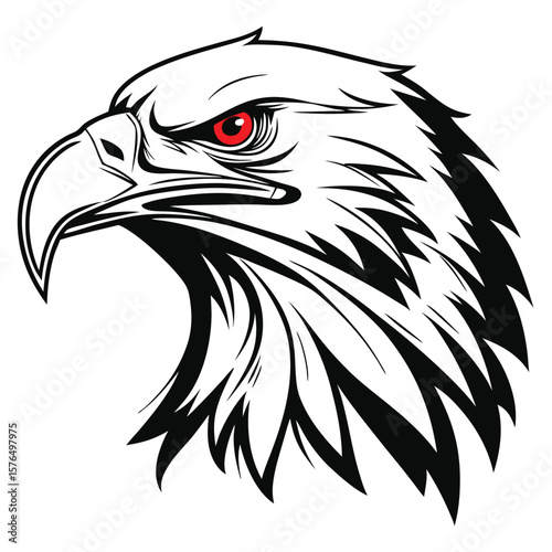 american bald eagle