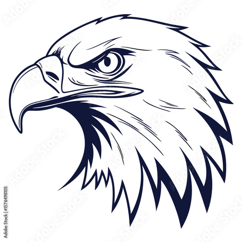 american bald eagle