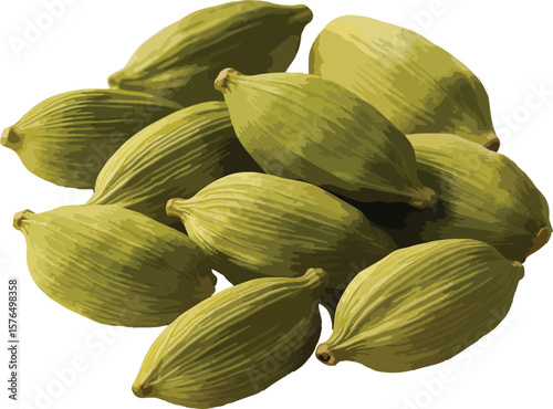 green cardamom isolated on white