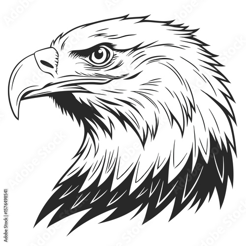 eagle head vector