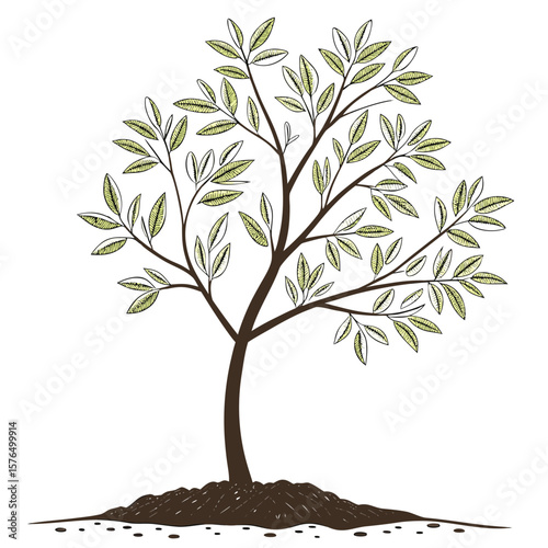 tree with roots
