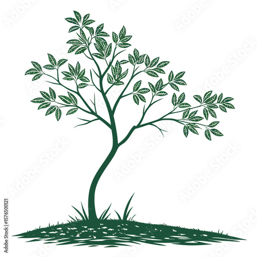 green tree vector