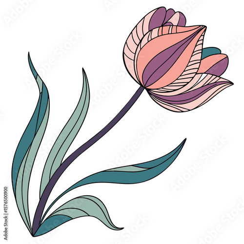 vector illustration of tulip