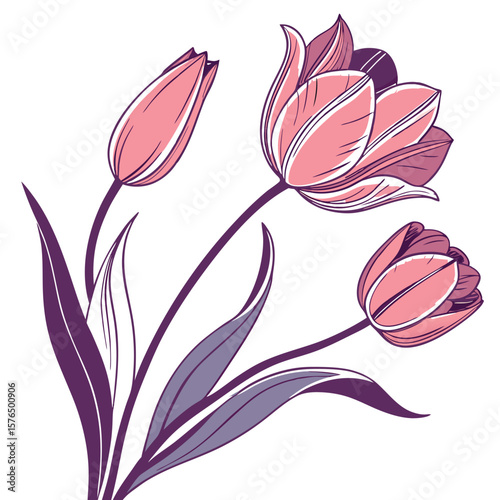 pink tulip flower