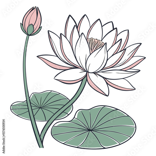 vector illustration of a flower