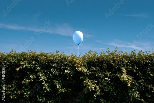 Blue Balloon Floats Above Green Hedge Under Clear Sky in Bright Daylight
