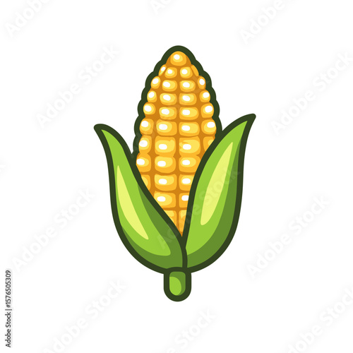 Freshly harvested corn cob with green leaves illustration  