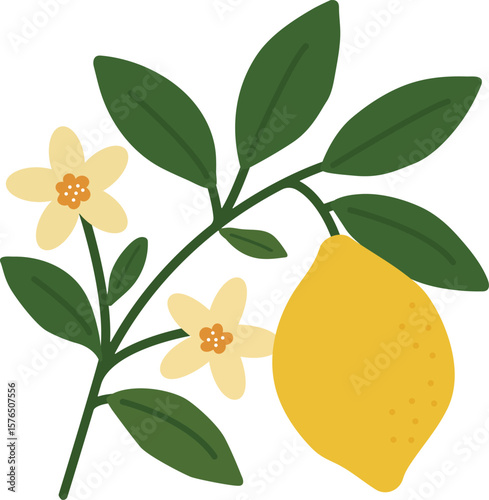 Flowering branch with lemon. Vector stock illustration eps10.  Adobe Illustrator Artwork