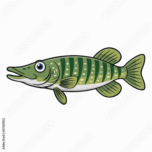 Northern Pike Illustration: A vibrant and detailed illustration of a Northern Pike, showcasing the fish's unique elongated body, distinctive markings, and piercing gaze.