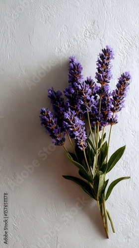 Beautiful Lavender Bouquet on Soft Gray Background Showcasing Vibrant Purple ...