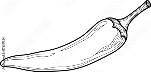 chili pepper line art, black outline, vector and illustration, coloring book page line art drawing
