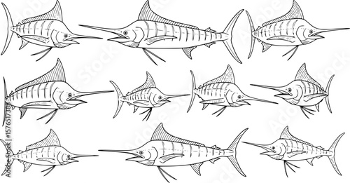 set of marlin fish line art, black outline, vector and illustration, coloring book page line art drawing
