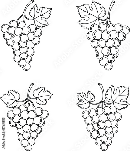 Delight in the simplicity of a grape cluster in this black and white drawing; perfect for coloring pages, educational activities, or minimalistic design projects with fruit elements.