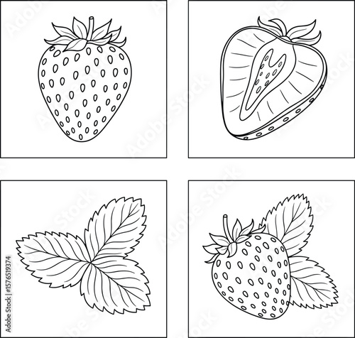 Outlined drawings showcase strawberries and their leaves, ideal for coloring pages or educational materials about this popular and healthy berry, great for school projects.