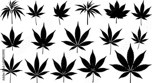 set of marijuana leaf silhouette, black and white silhouette, vector and illustration
