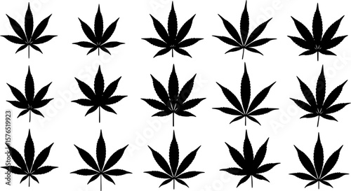 set of marijuana leaf silhouette, black and white silhouette, vector and illustration

