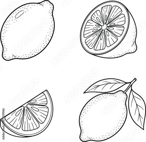 Outline drawing depicts fresh lemons, including a whole fruit, a halved lemon, a slice, and a lemon with leaves, perfect for illustrations and culinary themes.