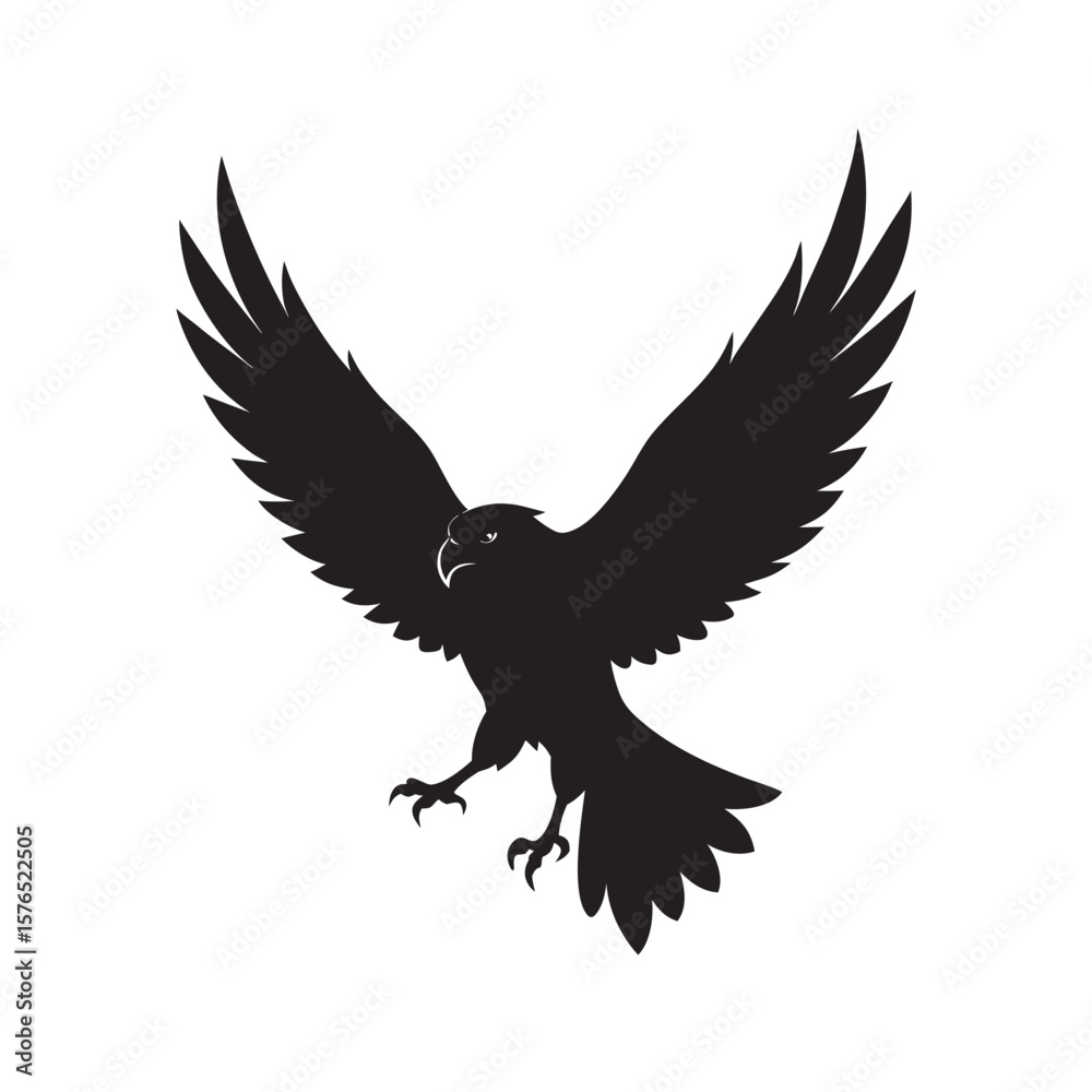 Fototapeta premium Hawk Landing With Strong Stance