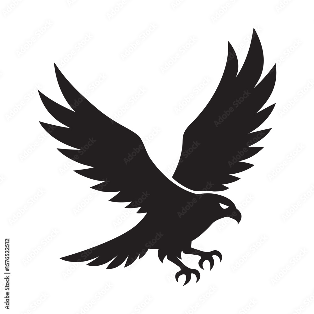 Obraz premium Hawk Soaring With Wings Outstretched