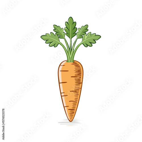 Depiction of a carrot with green foliage, presented in an artistic drawing style.