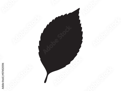 Black silhouette of elm or birch leaf with intricate shape, isolated on white background, graphic illustration. concept of nature, foliage, natural elements, icon, design, plant life.
