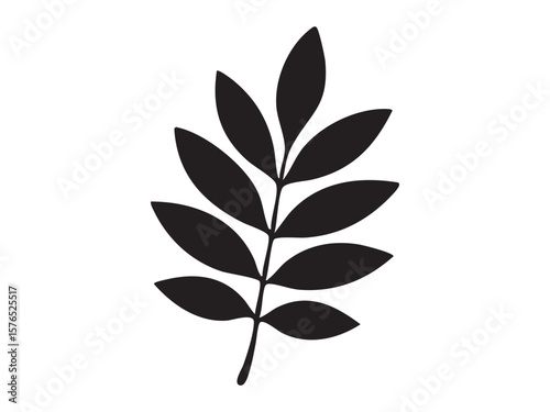 Black silhouette of ash or rowan leaf isolated on white background, graphic illustration. concept of nature, botanical art, foliage, plant design, icon, logo, decorative element