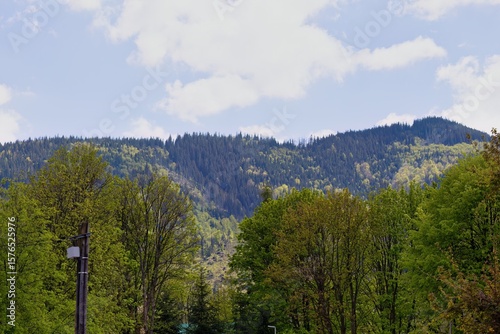 Fototapeta Naklejka Na Ścianę i Meble -  A misty mountain rises beyond dense woodland, with a lone utility pole in the foreground. Nature’s calm and elevation meet quiet human presence in Zakopane - Lesser Poland - Poland