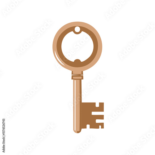 Ornate antique key illustration, brown color, vintage style, door access, treasure hunt, secret opening, graphic detail, stylized