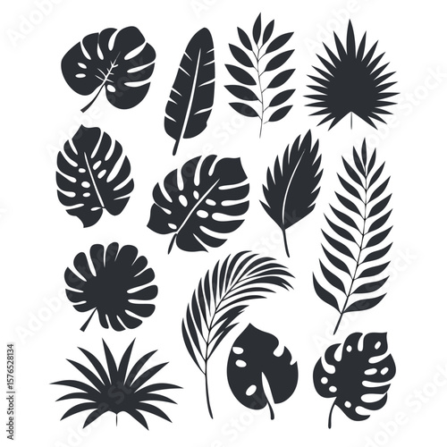 Tropical leaves and flowers vector black and white silhouette art