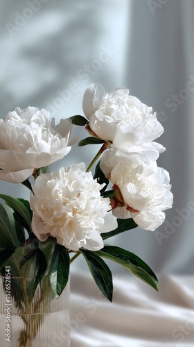 Beautiful White Peonies in a Glass Vase With Soft Light During the Day